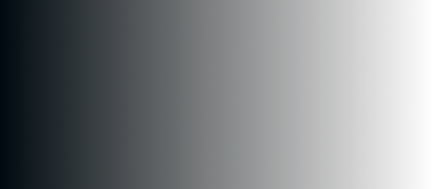 Professional web development services and technologies