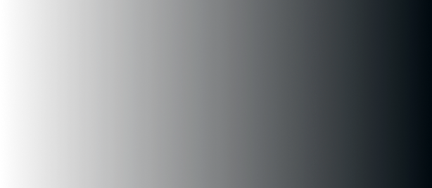 Professional web development services and technologies