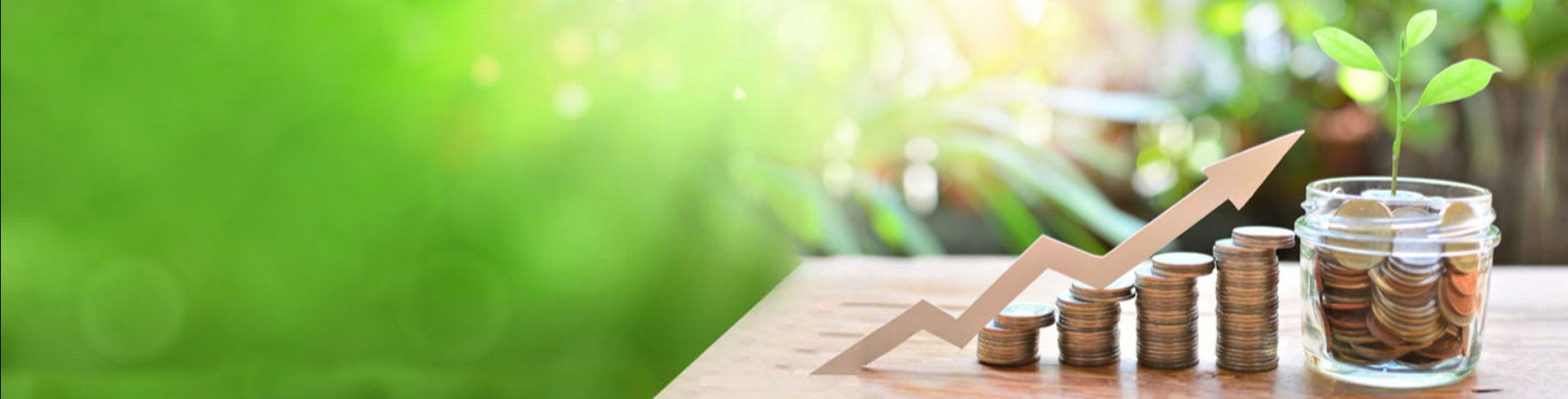 World Language Learning Hub